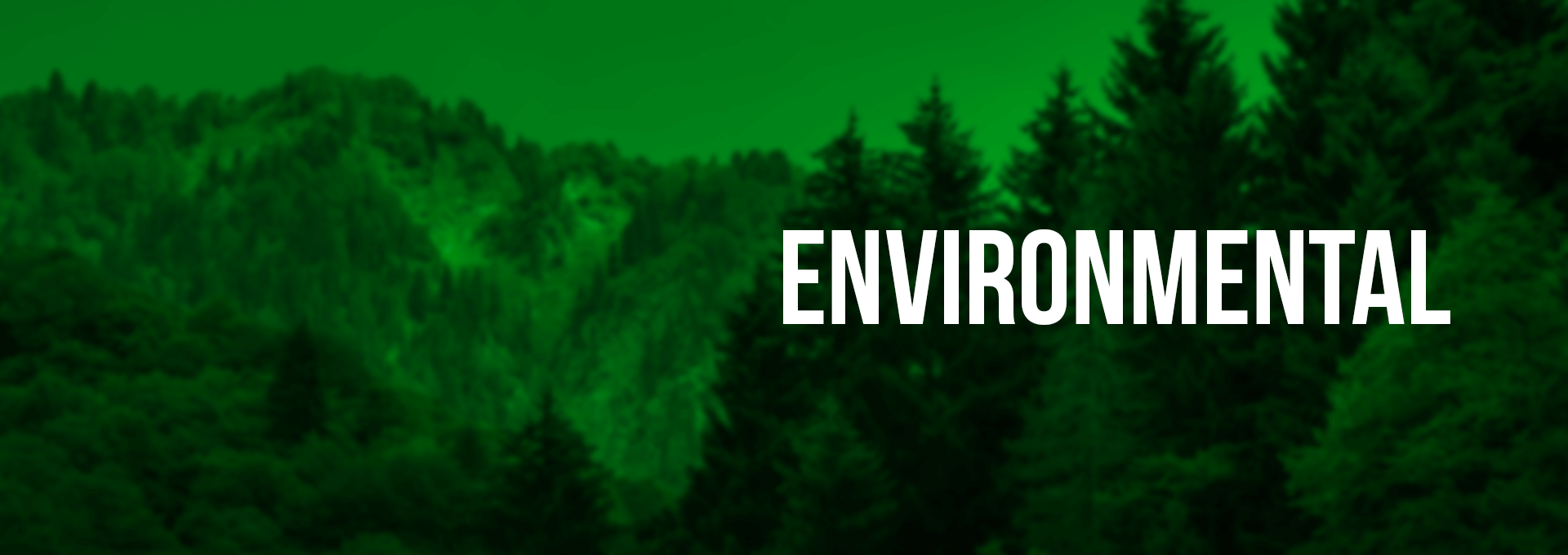 ENVIRONMENTAL